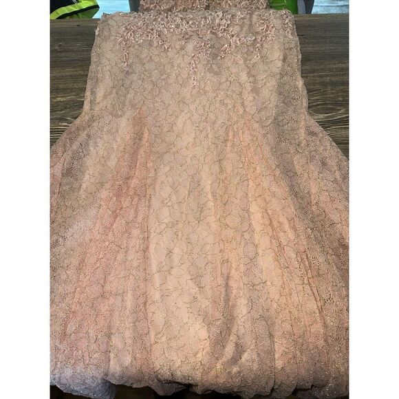 Mac Duggal A79341 Appliqué Sleeveless Plunge Neck Trumpet Blush Gown. Size 2. 17 - Picture 5 of 15